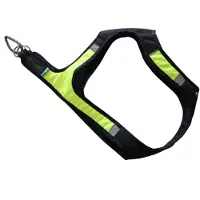 Axaeco X-run Hundegeschirr