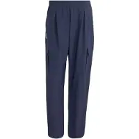 Adidas Cargo-Hose Terrex Xploric Clima365