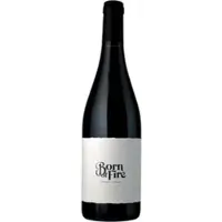 Vins Schaal (Sophie & Julien) Born of Fire Syrah Bio 2024 - Sophie Schaal