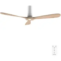 Cecotec Energysilence 5400 Deckenventilator