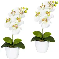 Creativ Green Kunstpflanze "Orchidee Phalaenopsis" im Keramiktopf