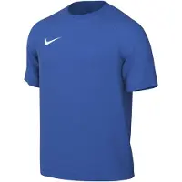 Nike Herren Trikot M NK DF PARK VIII JSY SS
