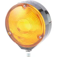 Hella Blinkleuchte 2BA 003 022-021