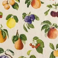 Home Fashion , Fruit Lovers, Lunch-Servietten aufgefaltetes Maß 33 cm x 33 cm, im Viertelfalz, 20 Stück pro Pack, 12 Pack pro Karton