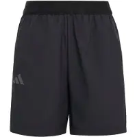 Adidas Terrex Multi Clima365 Kurze Hose