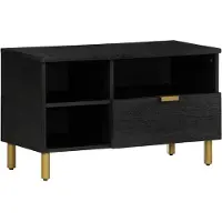 vidaXL TV-Schrank Schwarz 80x33x46 cm Holzwerkstoff