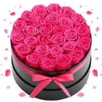 Vevor 27 Stk. Ewige Rosen in runder Box