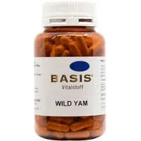 Basis Wild YAM Kapseln 200 St