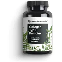Natural Elements Collagen Typ II Komplex 85 g Kapseln
