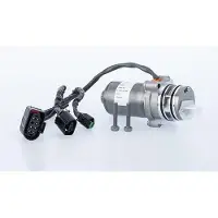 BORGWARNER Pumpe, Lamellenkupplung-Allradantrieb Gen V DS2001260