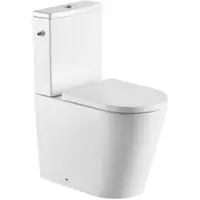 SAT Brevis WC-Kombination komplett SATBRE031RTORVP
