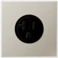 JUNG Steckdose 1f edst mt LS UP IP20 ZP NEMA ES2521-20