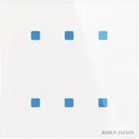 Busch-Jaeger TB/U6.4.11-CG