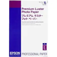 Epson Premium Luster Photo 100 Sheet Papier
