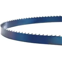 Kippers Rijssen Sägeband 2560 x 16 x 0,5 mm, 4 ZpZ