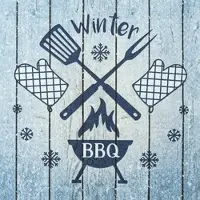 Home Fashion , Winter BBQ, Lunch-Servietten aufgefaltetes Maß 33 cm x 33 cm, im Viertelfalz, 20 Stück pro Pack, 12 Pack pro Karton