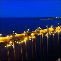 Sirius Home Tech-Line Lichterkette Cluster Start-Set 180 LED warmweiß 3 m außen 230V schwarz