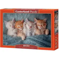 Castorland The Sweetest Kittens Puzzle – 1000 Pieces – 68 x 47 cm