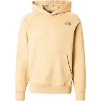 The North Face Redbox Nse Regular Kapuzenpullover