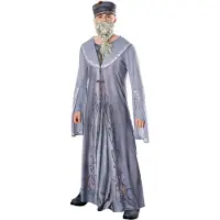 Metamorph Harry Potter - Dumbledore Kostüm
