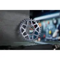 E*thirteen Helix Race E-spec Direct Mount Avinox Kettenblatt