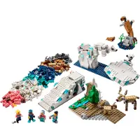 LEGO Naturwissenschaften Set Arktis-Tiere