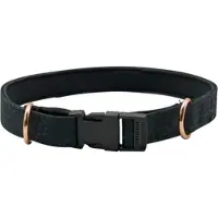 Imperial Riding Hundehalsband Ambient Black zebra 2022, Größe: L