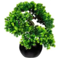 Creativ Green künstliche Pflanze Bonsai Lärche x5, ca 37x30cm, im Keramiktopf schwarz glänzend 15x9cm, mit Kies