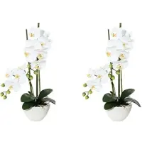 Creativ Green künstliche Pflanze Phalaenopsis, 50cm, "Real Touch", 2er Set