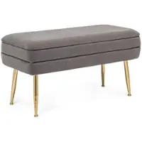 Bizzotto Bank Pavlina aus Samt, modern mit Stauraum, 80 cm, grau mit goldfarbenem Gestell