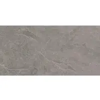 Rako Core Feinsteinzeug-Fliese twilight 30x60 cm Relief DARSR874.1