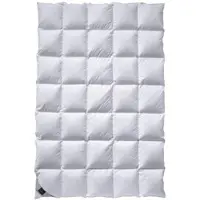 Billerbeck Catalina Daunendecke Mono - 200x200cm
