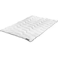 Badenia irisette Badenia Trendline Basic 135x200 cm Sommerdecke, Leicht-Steppbett