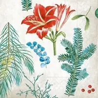 Mank Tissue Serviette Amaryllis, 33 x 33 cm, 100 Stück - Weihnachten Xmas