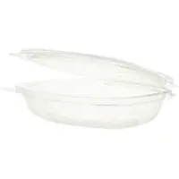 Greenbox Feinkostschalen, PLA, rechteckig, Transparente Schalen mit praktischem Klappdeckel, 1 Packung = 50 Stück, Fassungsvermögen: 250 ml