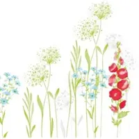 Mank Serviette Airlaid Milli, 40 x 40 cm, 50 Stück - Sträucher Gräser Blumen