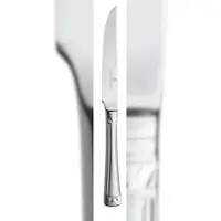 Picard & Wielpütz Solingen 12 x ARADENA Steakmesser HH 6130