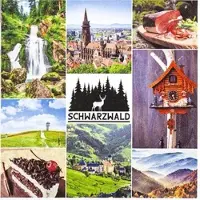 Home Fashion , Schwarzwald, Lunch-Servietten aufgefaltetes Maß 33 cm x 33 cm, im Viertelfalz, 20 Stück pro Pack, 12 Pack pro Karton