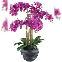 Creativ Green künstliche Pflanze Phalaenopsis, 70cm, "Real Touch"