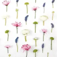 Home Fashion , Flower Composition, Lunch-Servietten aufgefaltetes Maß 33 cm x 33 cm, im Viertelfalz, 20 Stück pro Pack, 12 Pack pro Karton