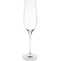 Gastronoble 12 Olympia Campana Champagnergläser 26cl - Glas - Spülmaschinengeeignet