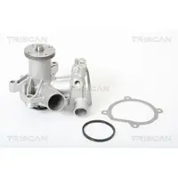 TRISCAN Wasserpumpe 8600 27851