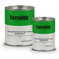 Terralith Oberflächenverfestigung Indoor -1 L-