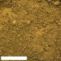Kreidezeit Pigment Ocker gelb - 500 g Becher