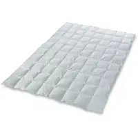 Sanders Kauffmann Sanders-Kauffmann Atelier Eiderdaunendecke medium - 155x220cm