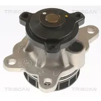 TRISCAN Wasserpumpe 8600 10092
