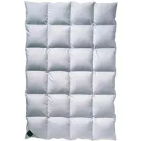 Billerbeck »312 Catalina« Daunendecken Kassette 4 / 200x200 cm / 1404 g