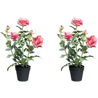 Creativ Green Künstliche Pflanze Rosenbusch im Topf in pink, 2er Set