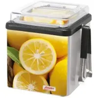 Ernst Neumärker GmbH & Co. KG Neumärker Lemon Server Kühlbox, 2,6 Liter 00-90484 , Maße: 224 x 248 x 219/403 mm