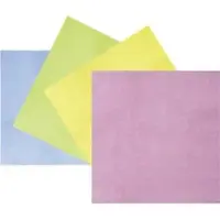 Kärcher Scalet, grün, 41,5x33,5 cm